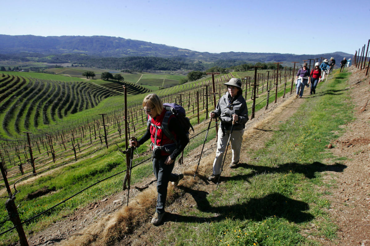 2/15/2013: D8: PC: Christa Teitelbaum, Glen Ellen, left, and Elaine Dengler, Santa Rosa hike with a group of about 100 hikers through a terraced vineyard while on a guided hike on the Kunde Estate in Kenwood on Saturday morning Feb. 9, 2013. Scott Manchester / The Press Democrat
