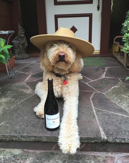 Lord Sandwich, Winery Dog, Wine Label