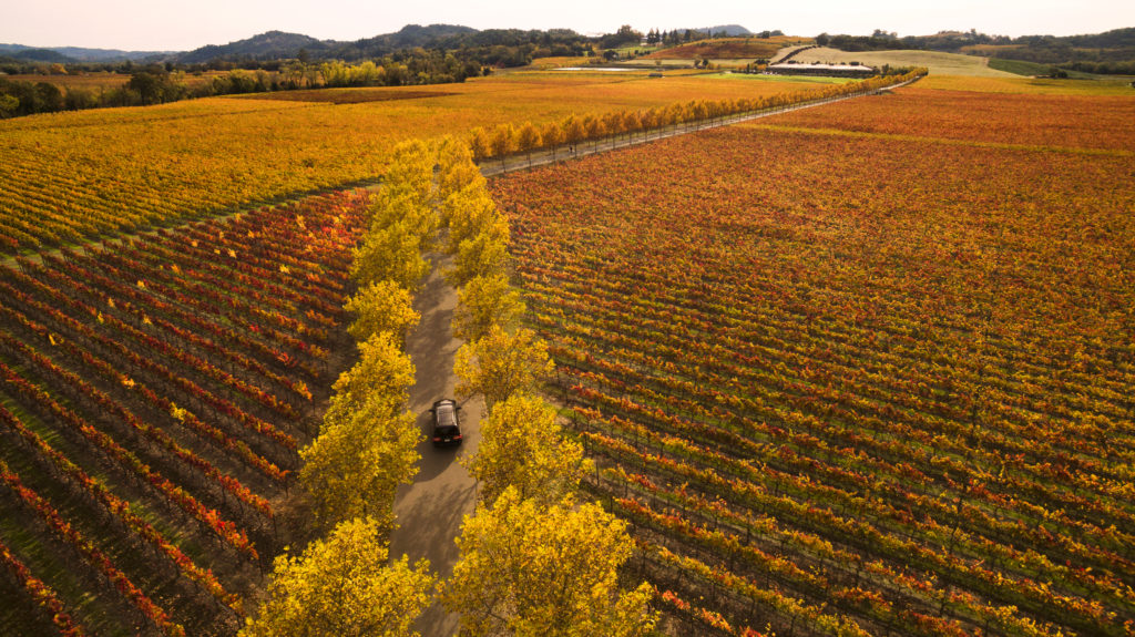 Holiday Guests Coming? 4 Perfect Sonoma County Day Trips