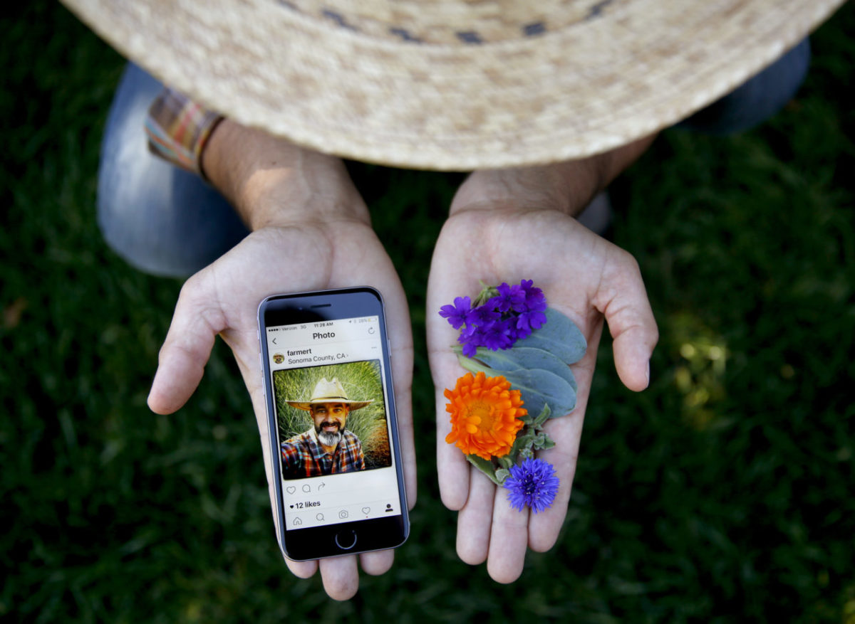 Avid Instagram user, Tucker Taylor, is the culinary gardener at Kendall-Jackson Wine Estate in Fulton. (Beth Schlanker/The Press Democrat)