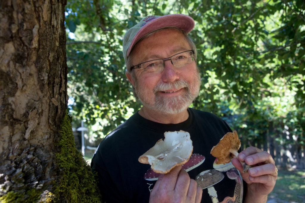 Darvin DeShazer, founder and adviser for Sonoma County Mycological Association, holds a pair of "Pluteus petasatus" mushrooms in his backyard in Sebastopol, Calif., on Sunday, June 11, 2017. (Photo by Darryl Bush / For The Press Democrat)