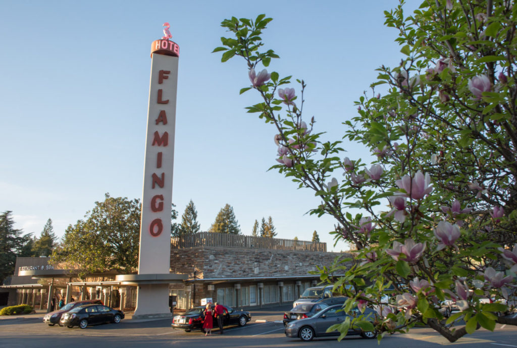 Guests arrive for the 2015 Latin Arts Gala at the Flamingo Conference Resort & Spa in Santa Rosa, Calif Saturday, February 14, 2015. The gala featured wine tasting and live music by Louie Romero Y Su Orquesta Mazacote.