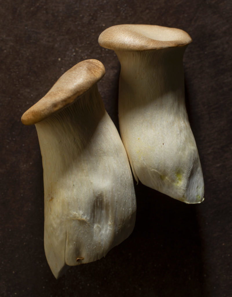 Trumpet Royale from Gourmet Mushrooms in Sebastopol. (photo by John Burgess/The Press Democrat)