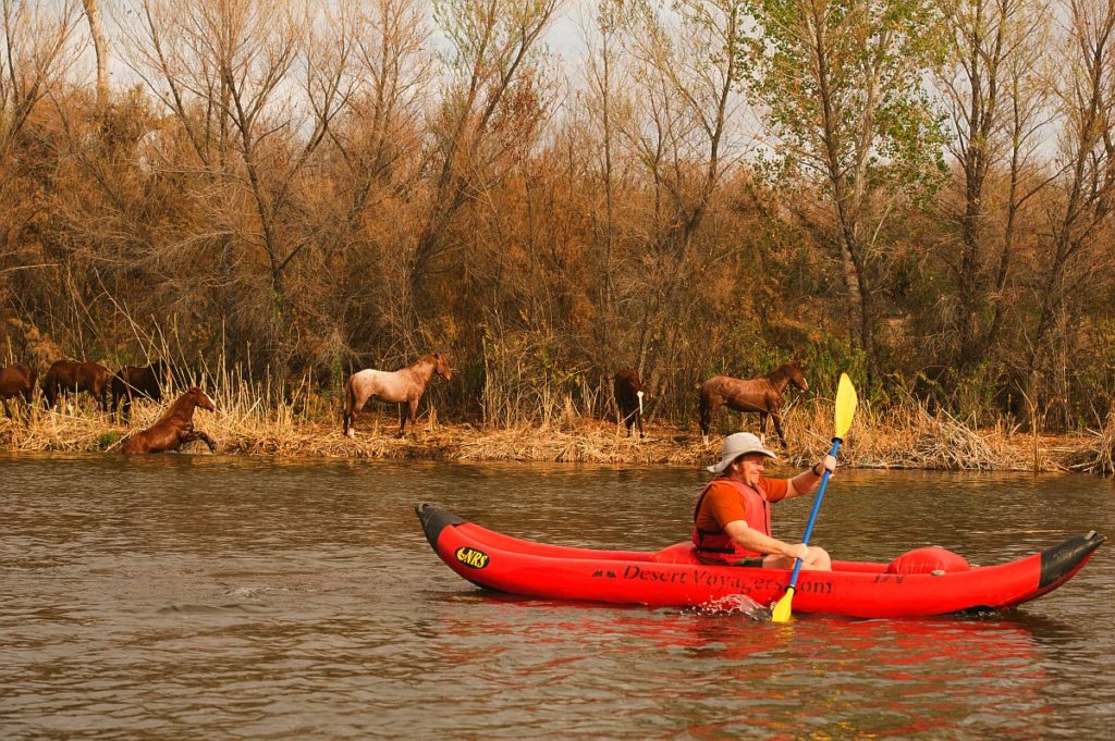 Kayaking near Scottsdale, Arizona
