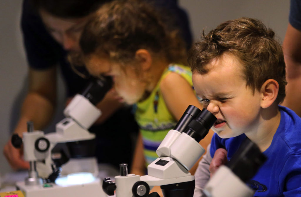Bodie Billes, 3, left, of Lafayette and his sister Fiona, 5, look for aquatic invertebrates in creek water at the 2016 Lake Sonoma Steelhead Festival at the Milt Brandt Visitors Center on Saturday. (JOHN BURGESS / The Press Democrat)