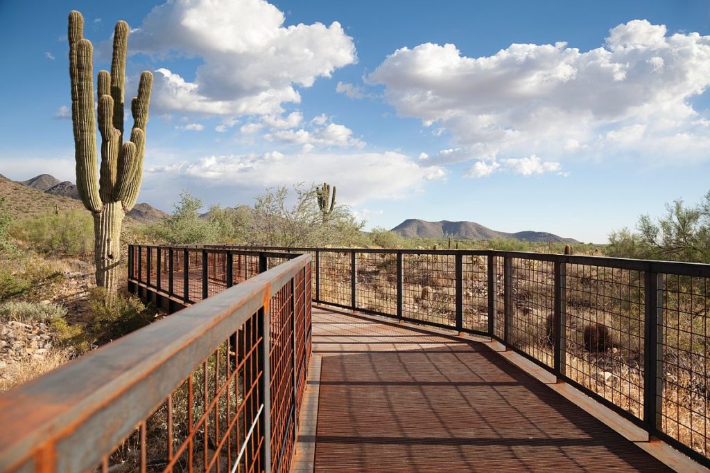 Gateway entrance, McDowell Sonoran Preserve Scottsdale, Arizona