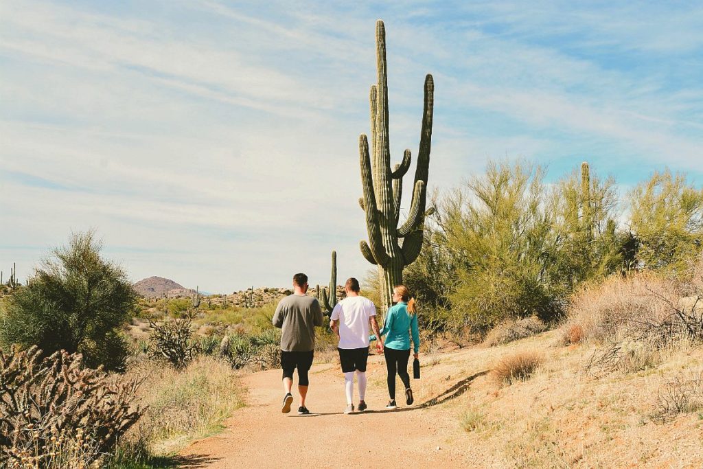 Walkers at McDowell Sonoran Preserve Scottsdale, Arizona