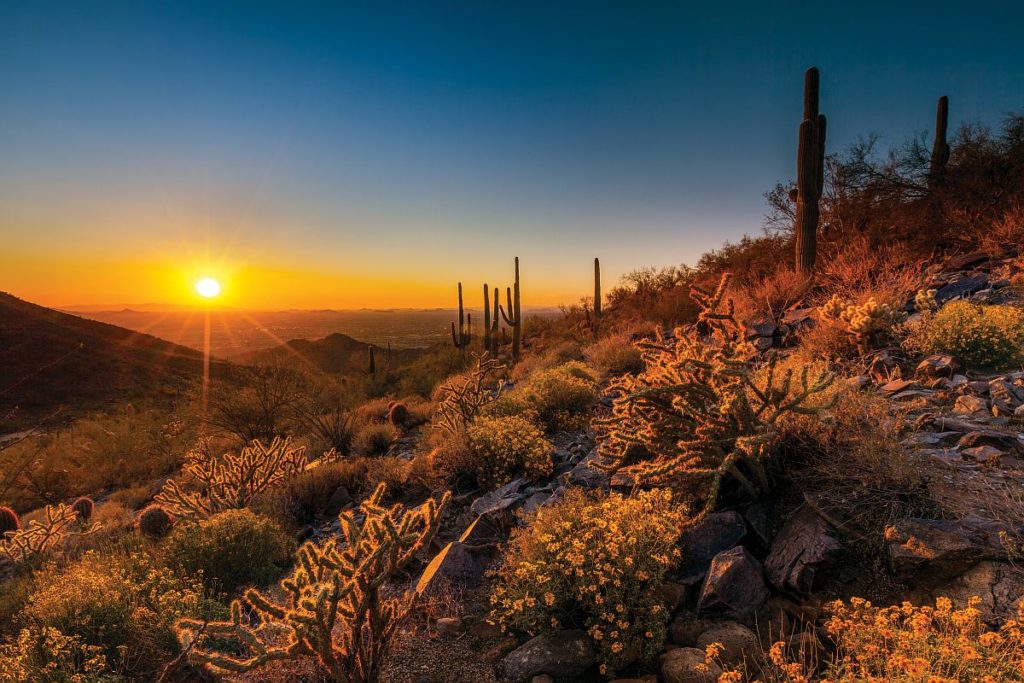 Sunset at McDowell Sonoran Preserve Scottsdale, Arizona
