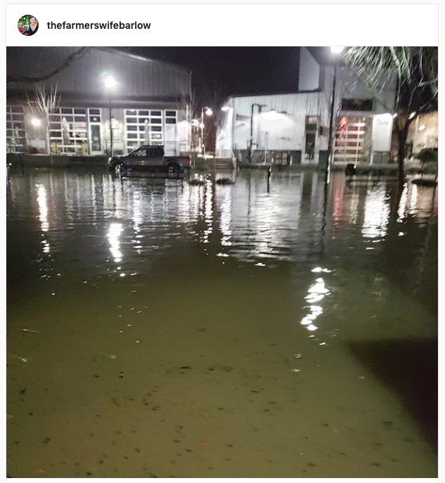 Farmer's Wife, Barlow @ Instagram