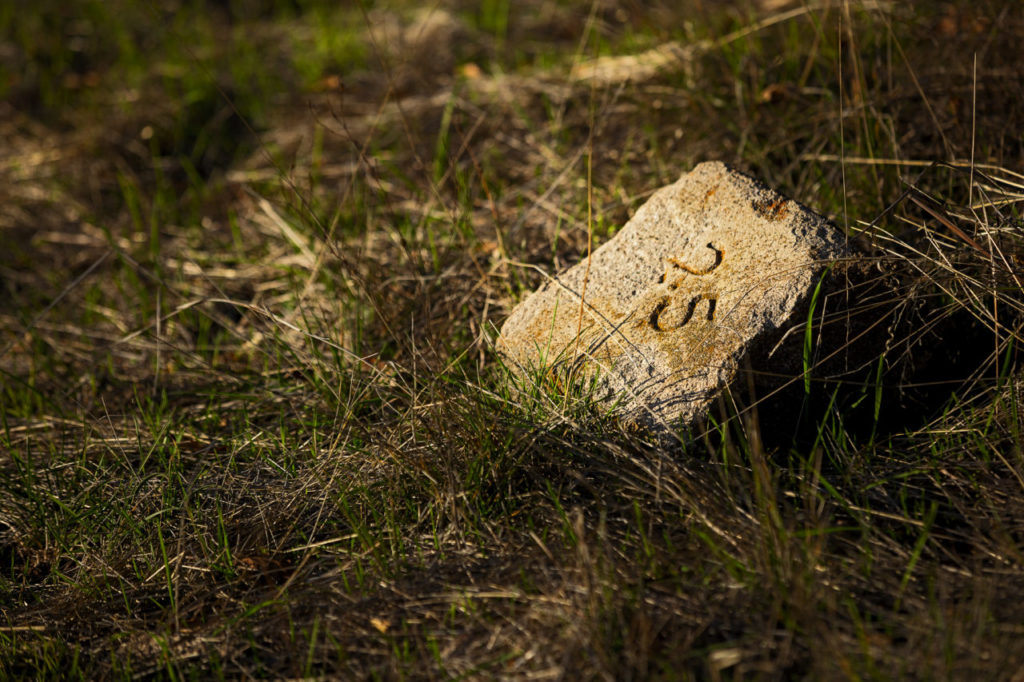 Sonoma Development Center, which may be closing Old grave marker at cemetery