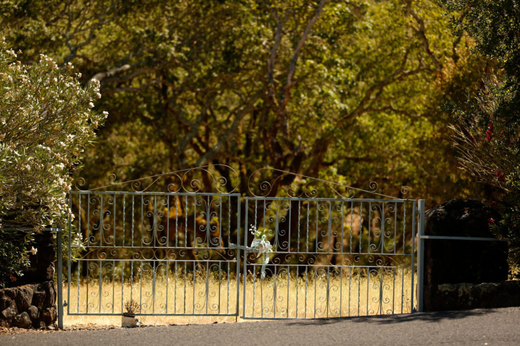 A gate to what was formerly the Sonoma State Home cemetary now opens into the wilderness area behind Sonoma Developmental Center, in Eldridge, California on Saturday, July 23, 2016. (Alvin Jornada / The Press Democrat)