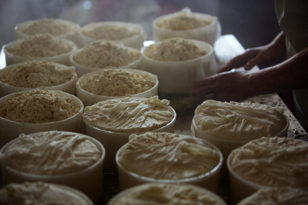 Lisa Gottreich, cheesemaker of Bohemian Creamery, who makes some very creative cheeses from goat, sheep and cow's milk in a former milking barn in Sebastopol.