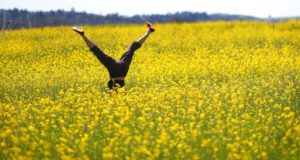 3/20/2014: B1: PC: Malisa Bruno turns a cartwheel while frolicking in a field of mustard at the Brown Farm, in Santa Rosa on Wednesday, March 19, 2014. (Christopher Chung/ The Press Democrat)