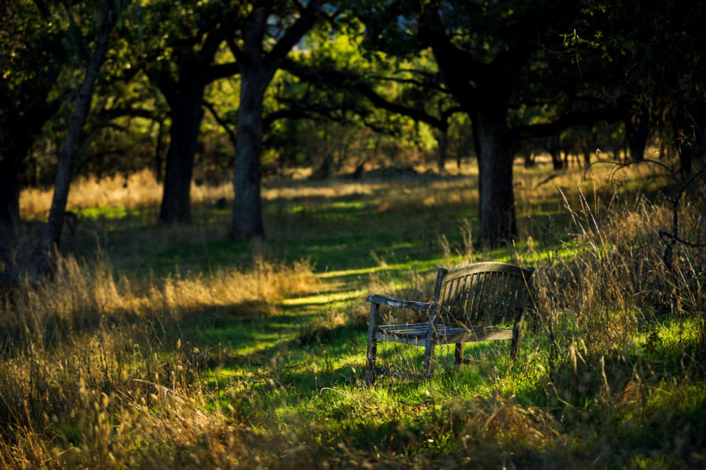 A bench near Phyllis Ellman trail by Glen Oak Ranch