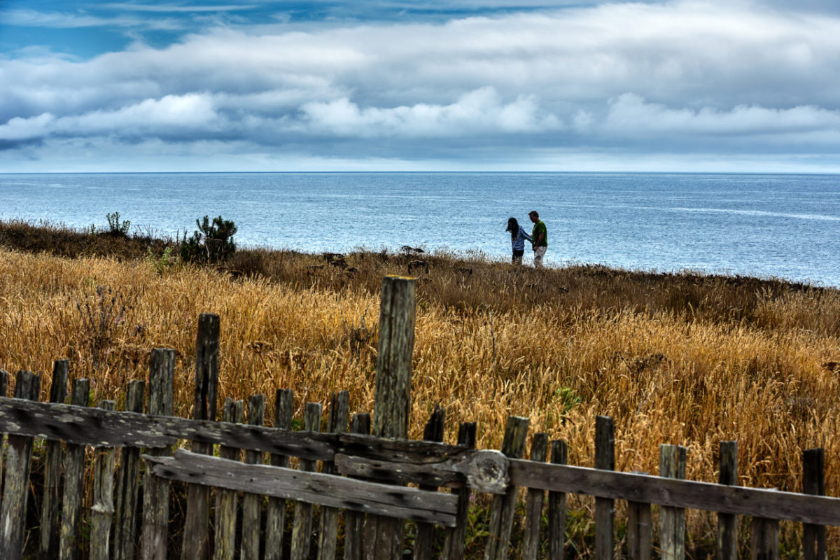 Field and fence near the Sea Ranch Lodge. Story on 50th anniversary of Sea Ranch