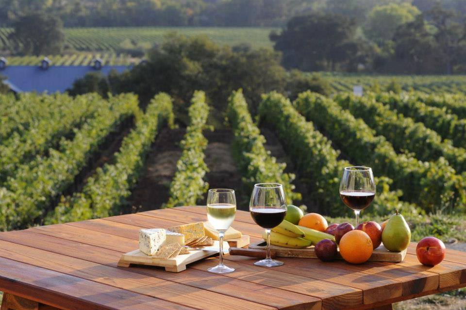 Best Sonoma Wineries to Visit This Spring