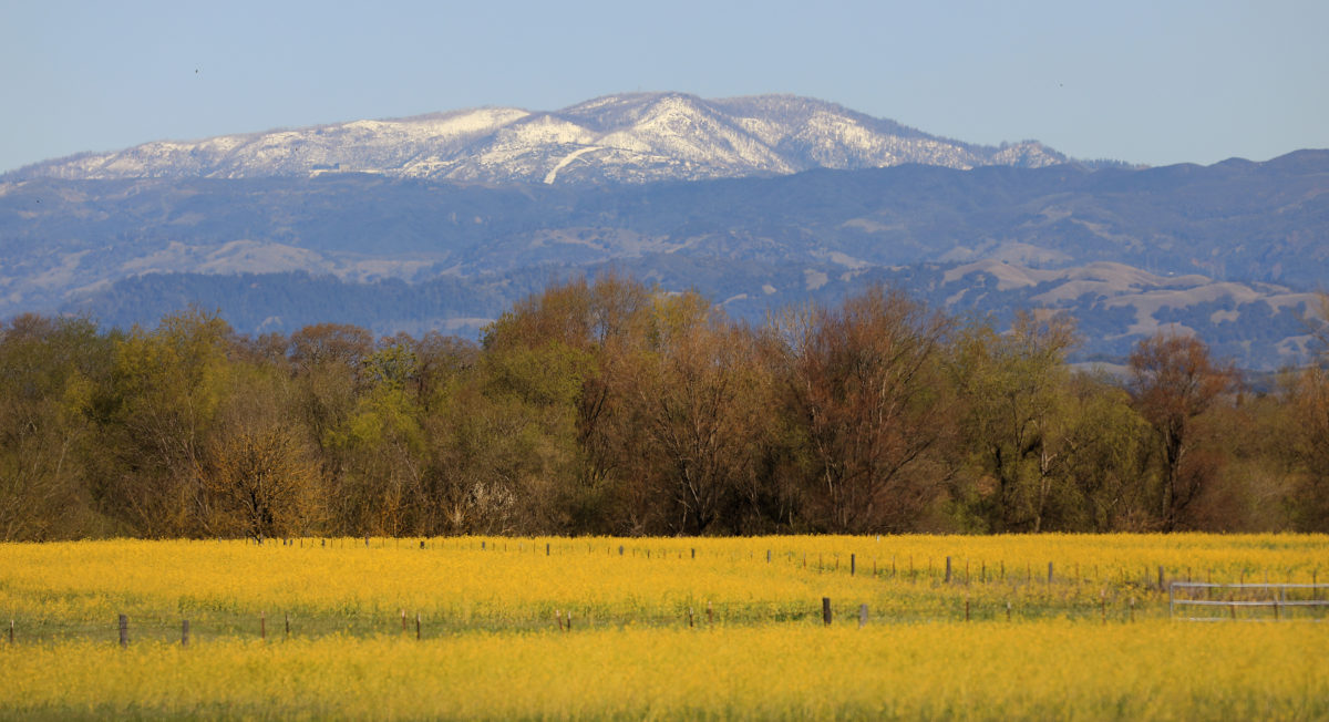 Snow caps Cobb Mountain, photographed from the Laguna de Santa Rosa. (Kent Porter / The Press Democrat)