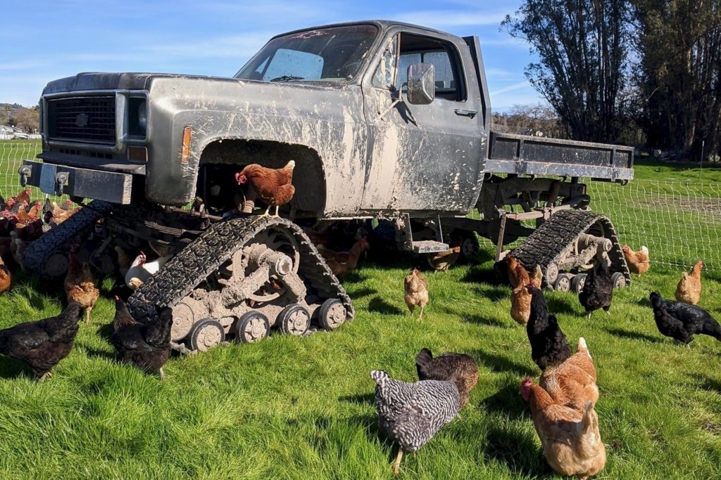 Sonoma County Animal Farms, Petting Zoos and Wildlife Preserves for Springtime Fun - Sonoma Magazine Sonoma County Animal Farms, Petting Zoos and Wildlife Preserves for Springtime Fun - Sonoma Magazine