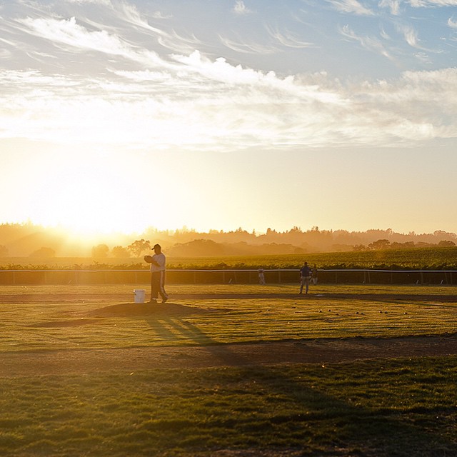 Balletto Vineyards is the only winery around with a baseball field in its vineyards. 