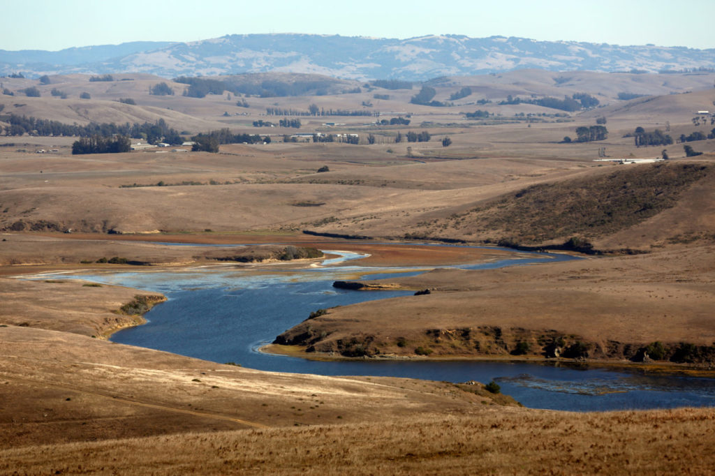 A view of Estero Americano from Estero Ranch, which Sonoma Land Trust plans to convert into open space including a kayak landing area on the estero, in Bodega Bay, California on Thursday, October 29, 2015. Sonoma Land Trust is currently in contract to purchase the 547-acre Estero Ranch (Alvin Jornada / The Press Democrat)
