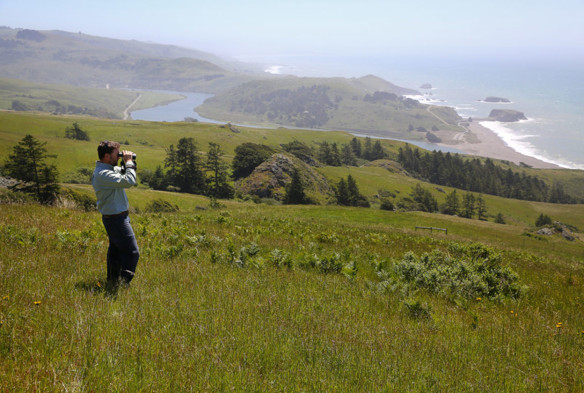 Jenner Headlands Preserve manager Brook Edwards enjoys the view overlooking the coast in the hills above Jenner. (Christopher Chung/The Press Democrat)