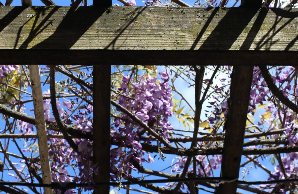 The view from the patio at Acme Burger. Heather Irwin/PD