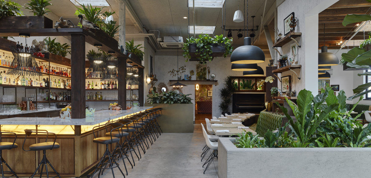 Fern Bar in Sebastopol. (Courtesy photo)