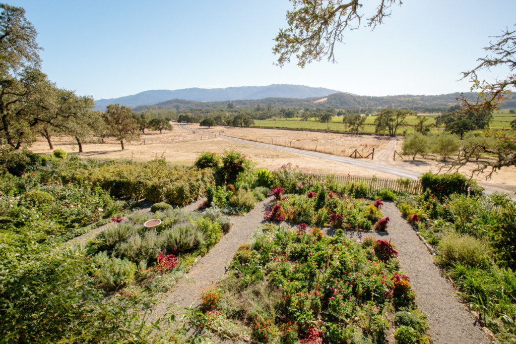 The Beltane Ranch gardens. (Michelle Walker Photo)