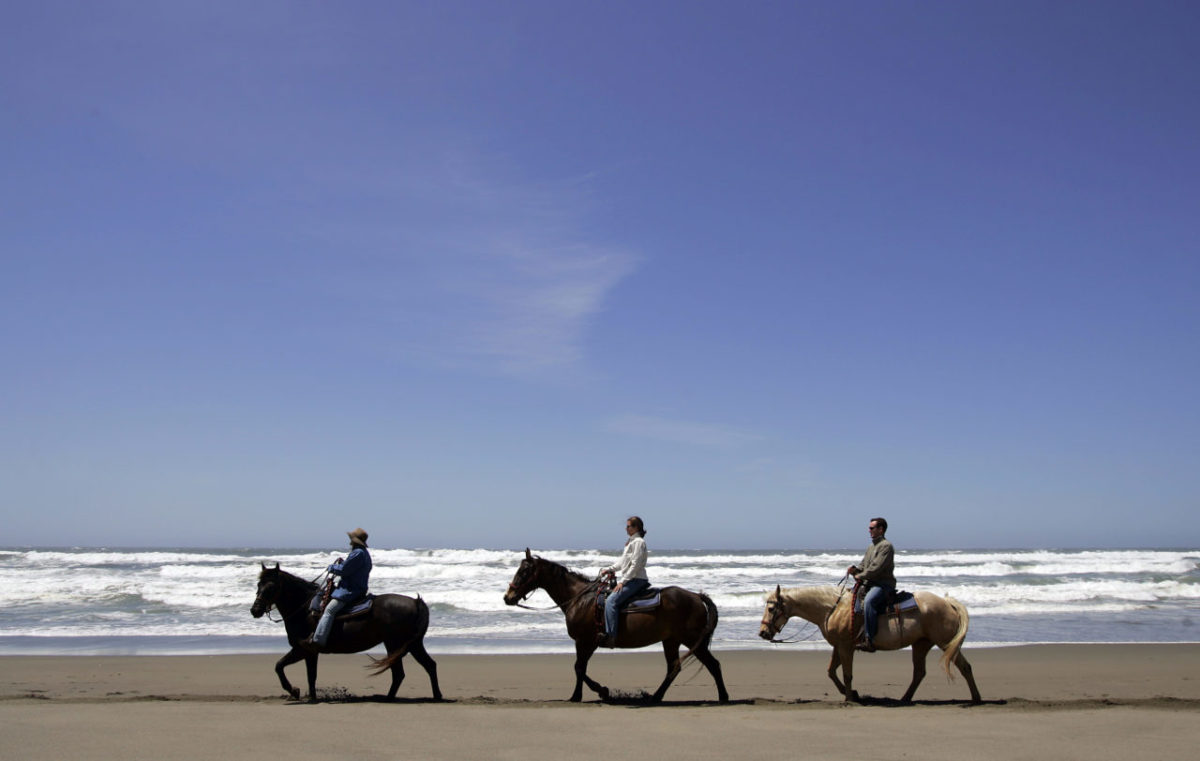 Guide Nancy Brown, left, lead Kelli and Scott Simmerok, of San Jose, on their ride along Bodega Dunes State Beach on Thursday, May 7, 2009.