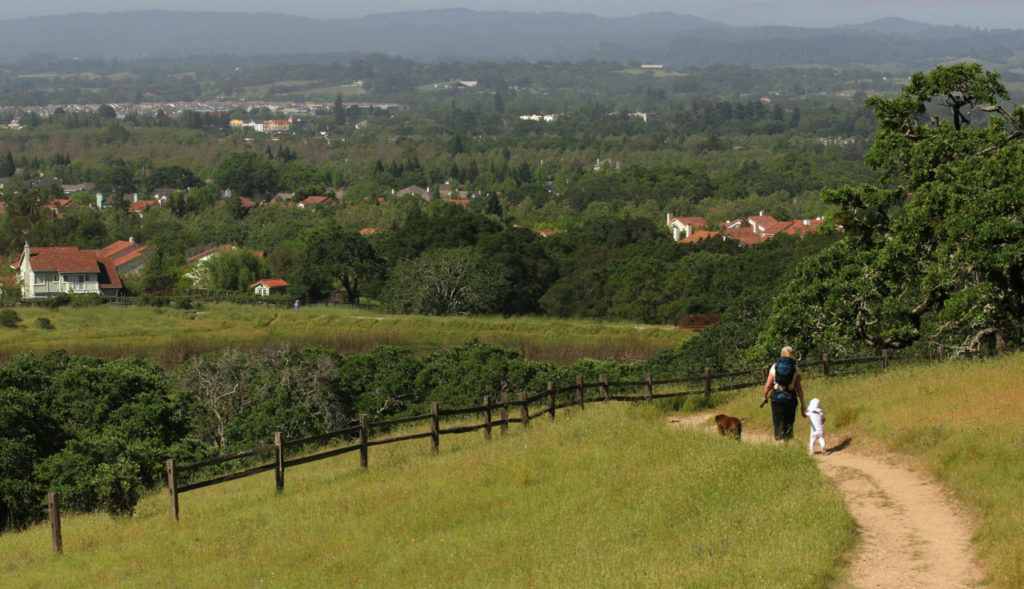 Foothill Regional Park: Windsor’s Foothill Regional Park contains 7 miles of trail and provides a mountaintop view of northern Sonoma County. The park is open from 7 a.m. to sunset and dogs are allowed on leashes. Parking is $7 or free for members. (Photo: Charlie Gesell/The Press Democrat)