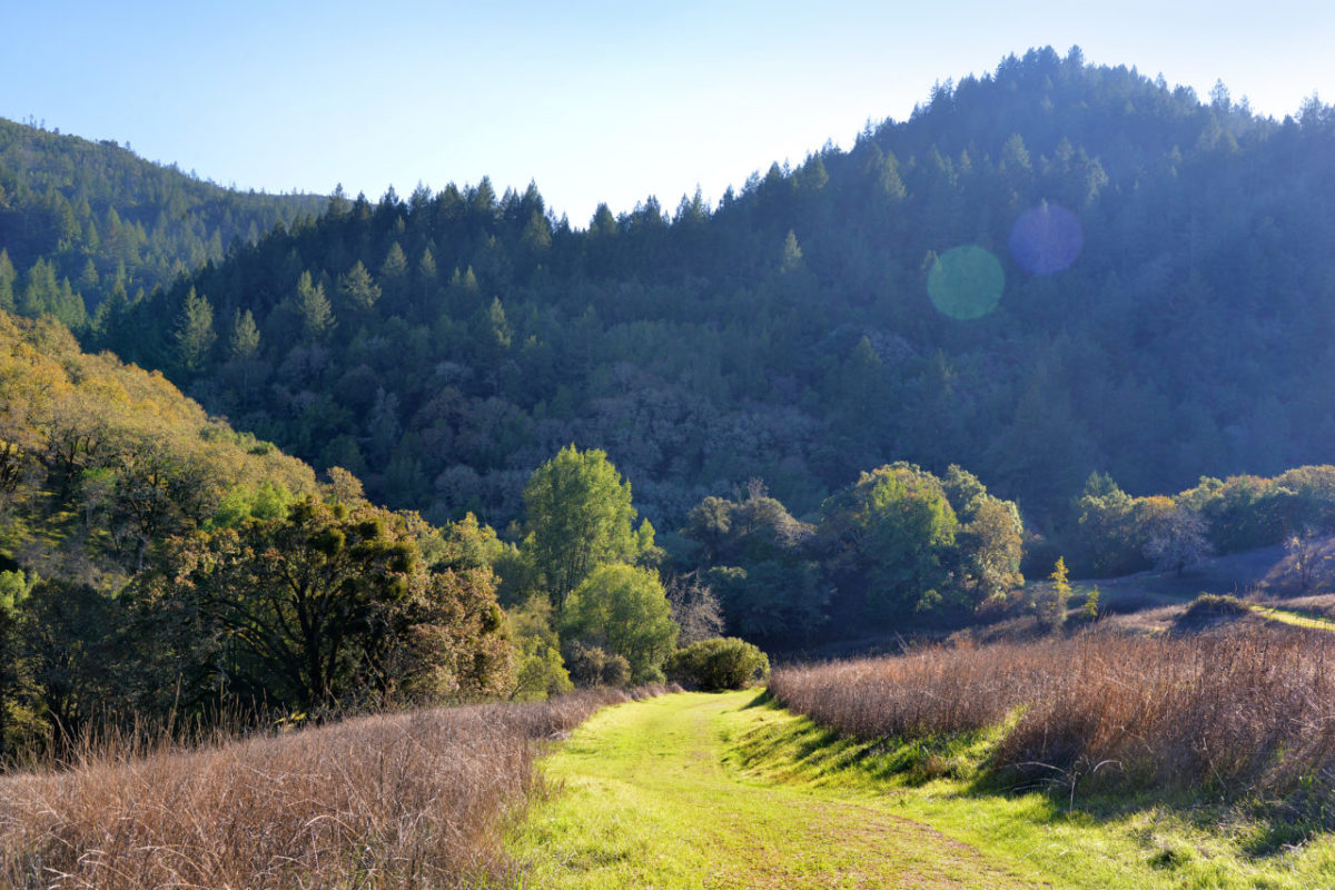 Hood Mountain Regional Park: This park in Santa Rosa offers the Hood's Gunsight Rock overlook which can be reached from either Hood Mountain or Sugarloaf Ridge State Park. This hike is about 3.7 miles and is for more experienced hikers who are in good physical condition. (Photo: courtesy of Scott Hess Photography)