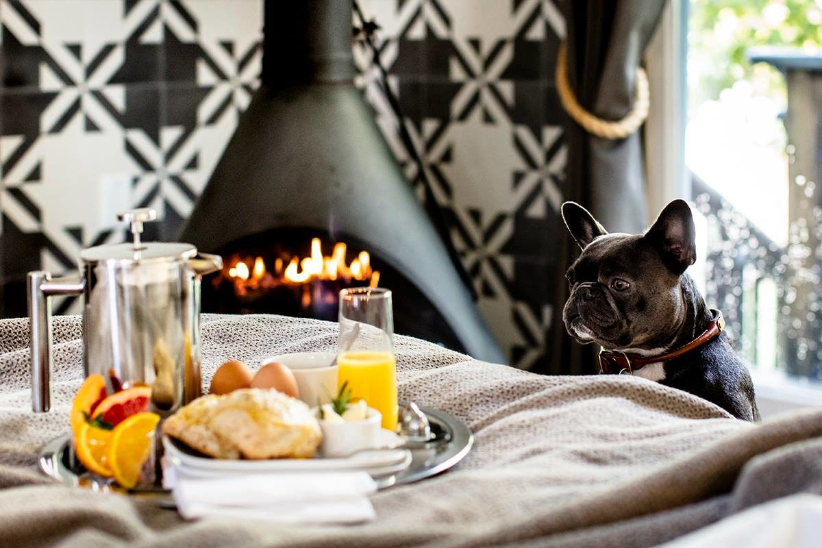 A room service breakfast at Boon Hotel + Spa in Guerneville. (Kelly Puleio / Sonoma County Tourism)