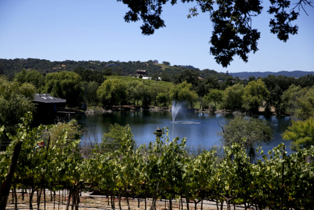 A view of a pond on the tour at the new La Crema tasting room at Saralee's Vineyard in Windsor, on Wednesday, July 20, 2016. (BETH SCHLANKER/ The Press Democrat)
