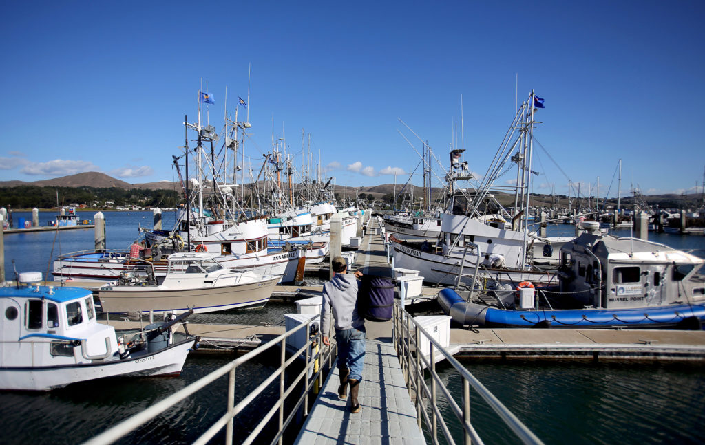 11/12/2012: B1: PC: Fishermen and their crews are getting their boats ready for crab season to start at Spud Point Marina in Bodega Bay, Saturday, November 10, 2012. (Crista Jeremiason / The Press Democrat)