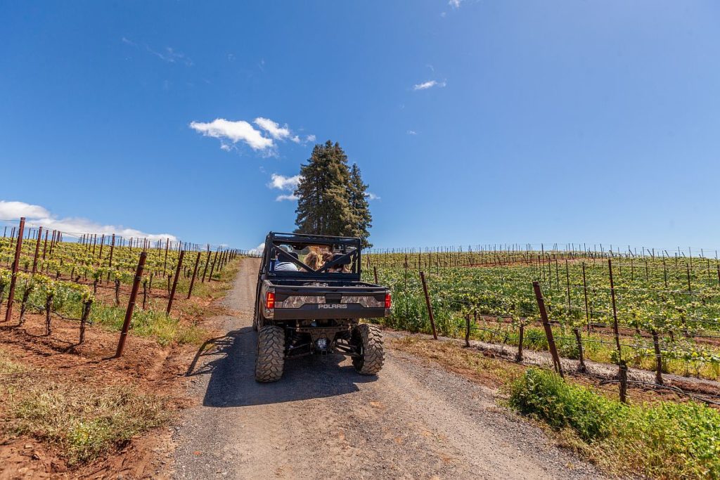 Hold On to Your Glass: ATV Winery Tour Trend Arrives in Sonoma County