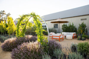 The Cornerstone Sonoma marketplace features a series of garden installations by Sunset magazine. (Thomas J. Story)