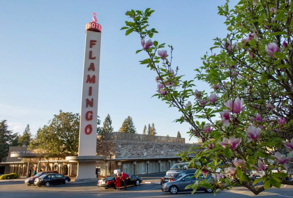 Guests arrive for the 2015 Latin Arts Gala at the Flamingo Conference Resort & Spa in Santa Rosa, Calif Saturday, February 14, 2015. The gala featured wine tasting and live music by Louie Romero Y Su Orquesta Mazacote.