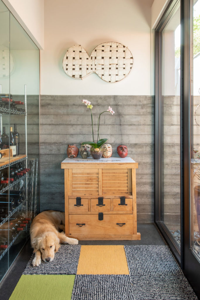 Biondi laying in one of his favorite nooks in the entryway.