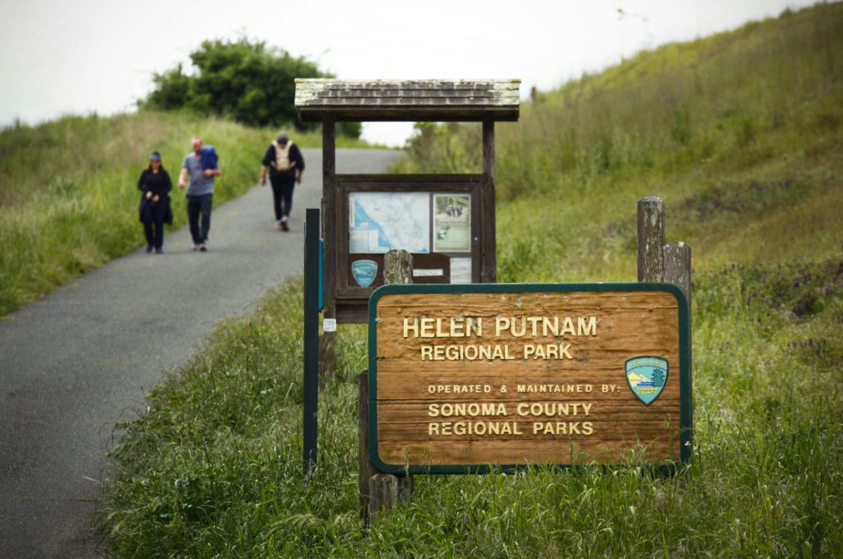Golden hour: Hike to the top of Helen Putnam Regional Park in Petaluma for an incredible view of the sunset. Since Helen Putnam is pretty well-marked, it won’t be the end of the world if you have to walk back down in the dark, plus, the grassy fields look stunningly golden during that time of day. (Crissy Pascual/Argus-Courier)