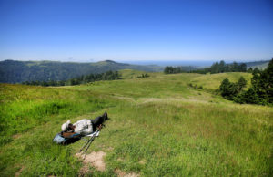 Popularly known as the Islands in the Sky, The serenity of Ithe Willow Creek addition to Sonoma Coast State Park is not lost to a snoozing hiker, April 28th, 2016. (Kent Porter / Press Democrat) 2016