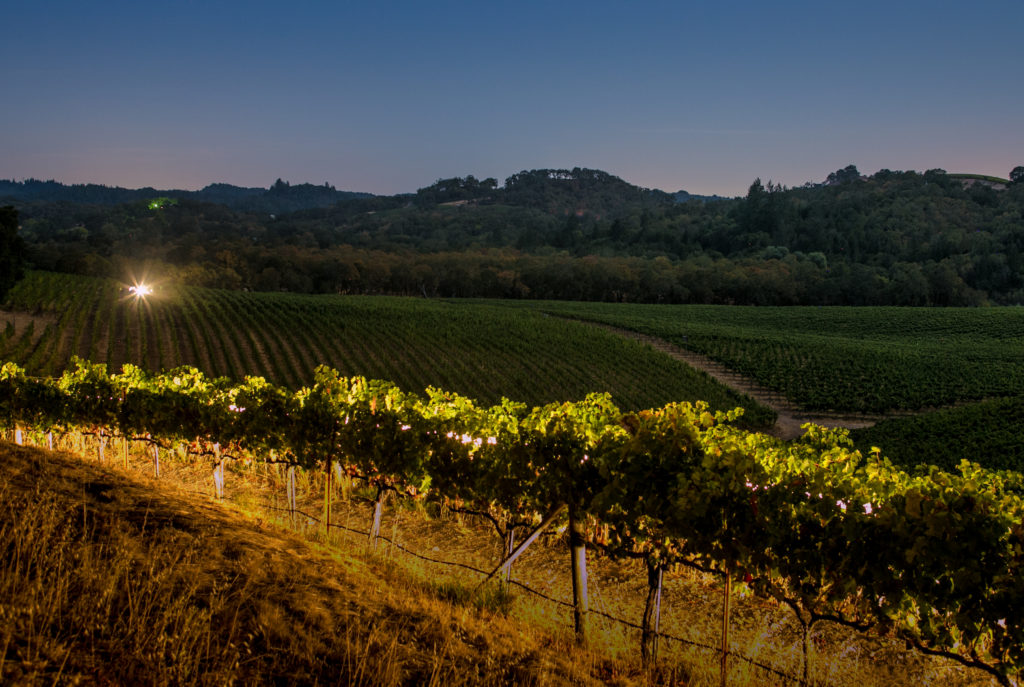 Medlock Ames in Healdsburg. (Medlock Ames)