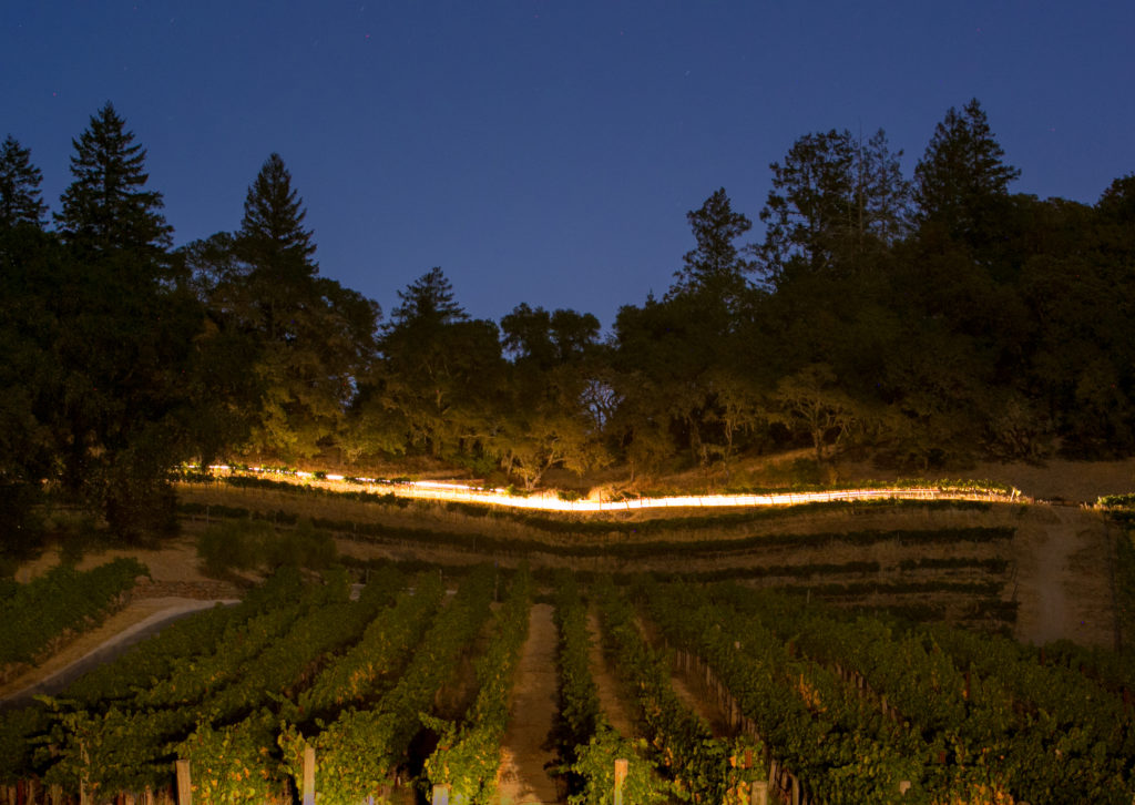 Medlock Ames in Healdsburg. (Medlock Ames)