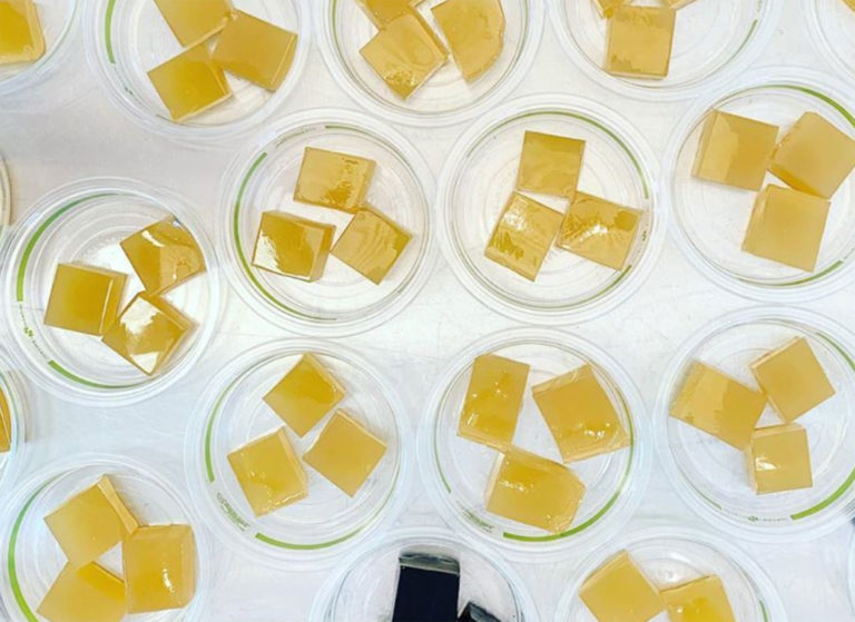 The Best Salad You've Never Had at Food Mechanic in Sebastopol Sonoma