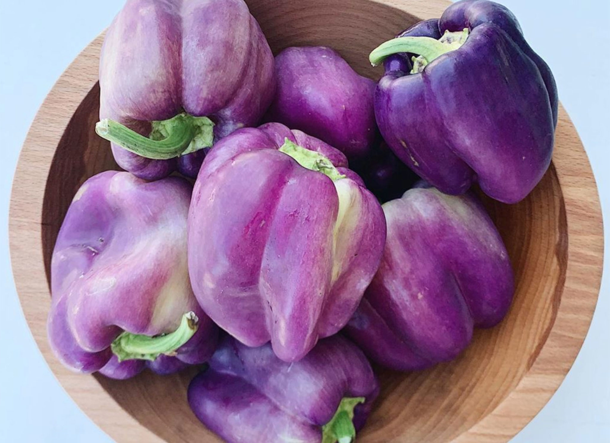 The Best Salad You've Never Had at Food Mechanic in Sebastopol Sonoma