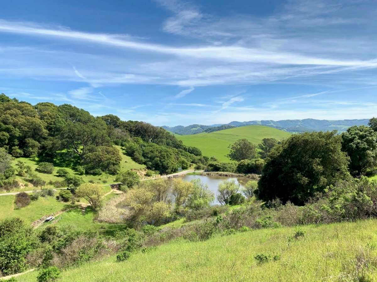 Helen Putnam Regional Park in Petaluma. (Helen Putnam Regional Park)