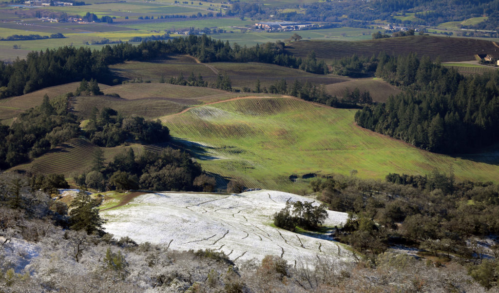 Snow begins to melt in vineyards to be replanted off Geysers Road above the Alexander Valley, Tuesday Feb. 4, 2019. (Kent Porter / Press Democrat) 2019