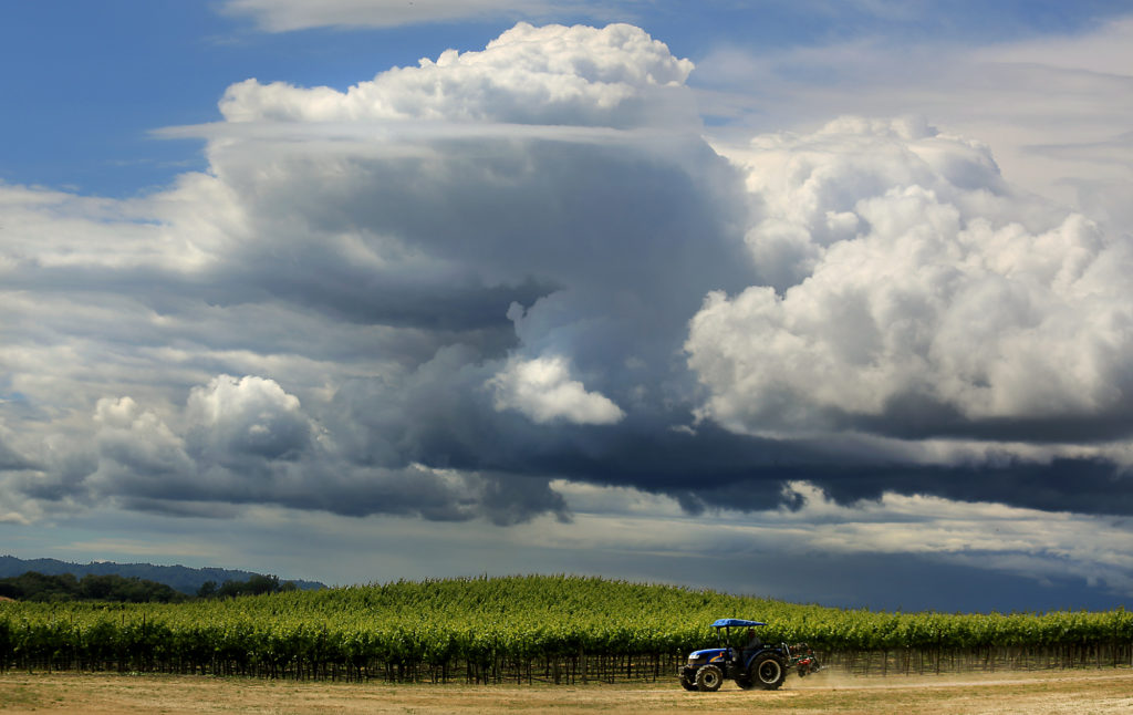 A thunderstorm builds over Sonoma-Cutrer Vineyards in Windsor, Tuesday May 24, 2016, (Kent Porter / Press Democrat) 2016
