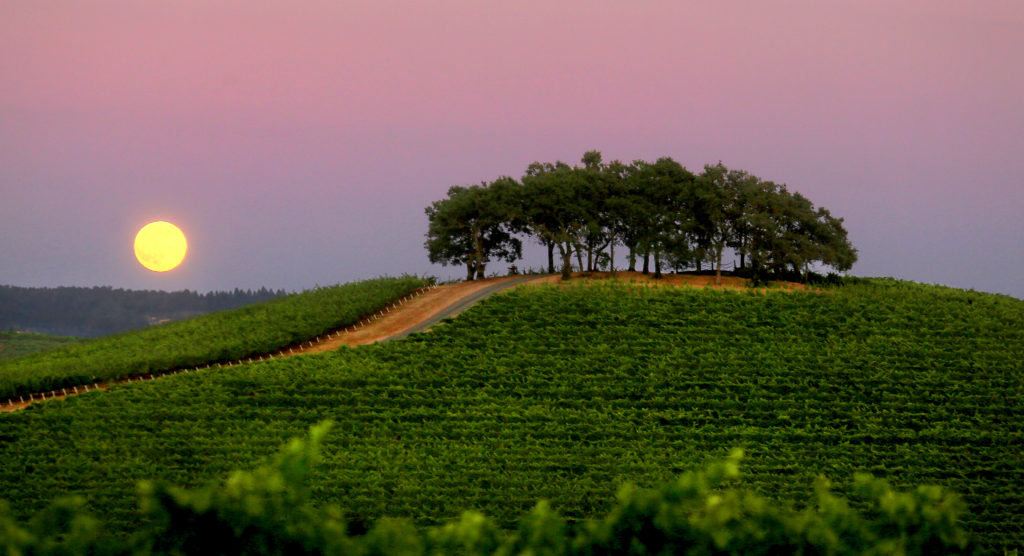 The July Thunder Moon rises over the Mayacamas Mountains and the vineyards of Kunde Family Winery in Kenwood, Saturday July 8, 2017. (Kent Porter / Press Democrat) 2017