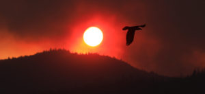 Thick smoke from the Kincade fire obscures the setting sun as seen from the Middletown side of the Mayacamas Mountains, Friday, Oct. 25, 2019. (Kent Porter / The Press Democrat)