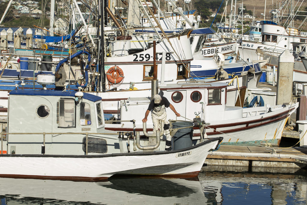 Josh Churchman ties up the Palo, a 24-foot fishing boat he built 50 years ago. (John Burgess)